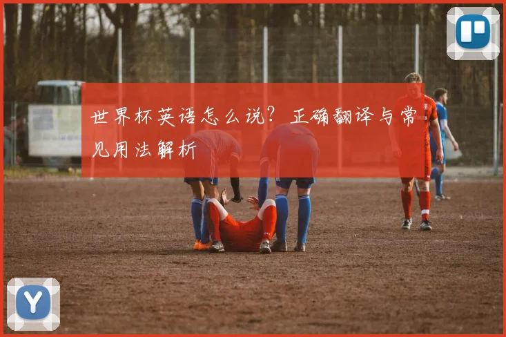 世界杯英语怎么说？正确翻译与常见用法解析