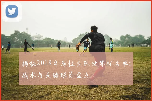 揭秘2018年乌拉圭队世界杯名单：战术与关键球员盘点