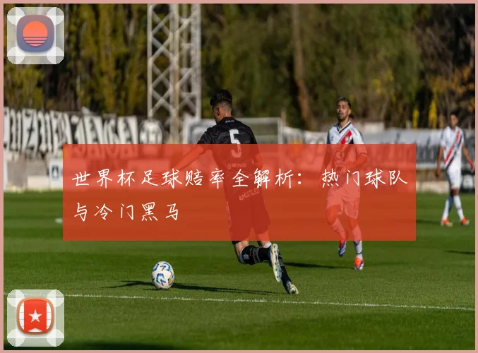 世界杯足球赔率全解析:热门球队与冷门黑马